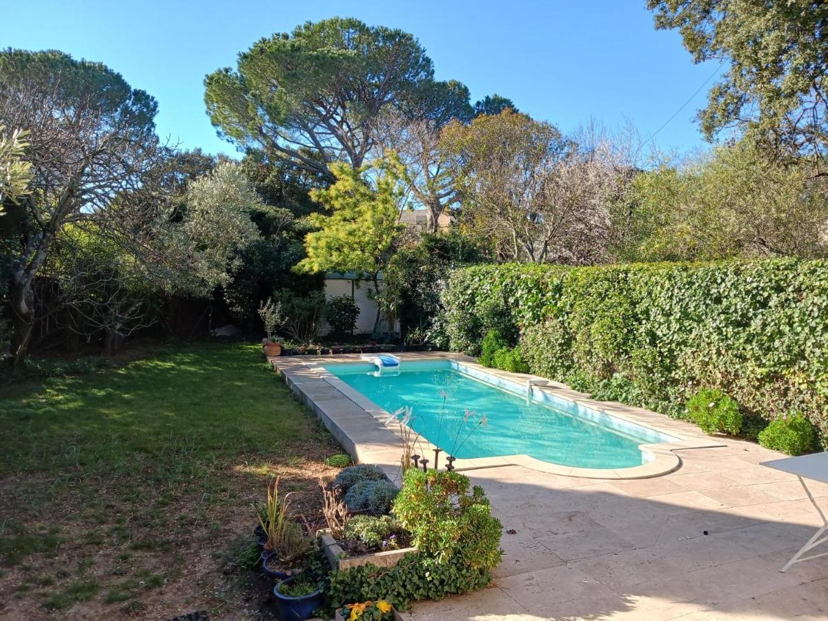 Studio Charmant Et Calme Villeneuve Les Avignon Entree Et Cour Independantes Climatisation Piscine Parking 外观 照片